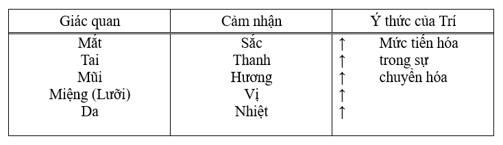 Mức tiến hóa trong sự chuyển hóa