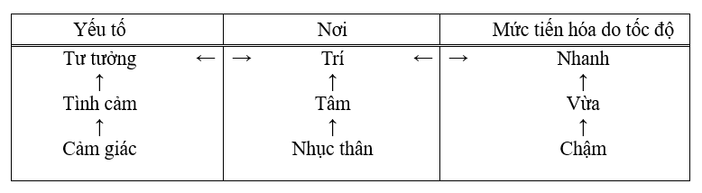 Sự tiến hóa từ sự chuyển hóa của những yếu tố liên quan được nhận ra từ mỗi yếu tố, nơi sinh động, và tốc độ của mỗi yếu tố