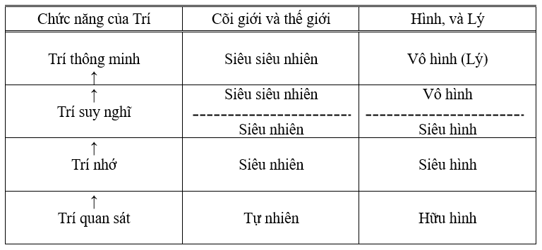 Tiến trình tiến hóa của Trí theo chức năng