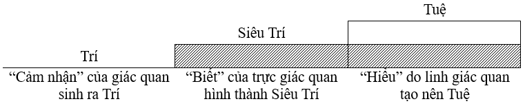 Các loại Trí và các loại giác quan