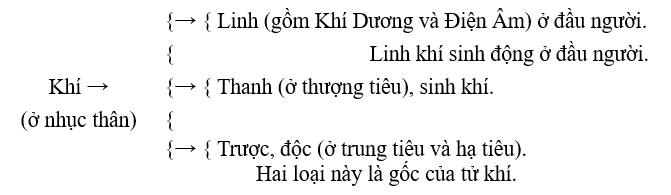 Linh khí, thanh khí, độc và trược khí ở nhục thân