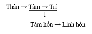 Diễn tiến Thân qua Tâm, Trí; Tâm hồn qua Linh hồn