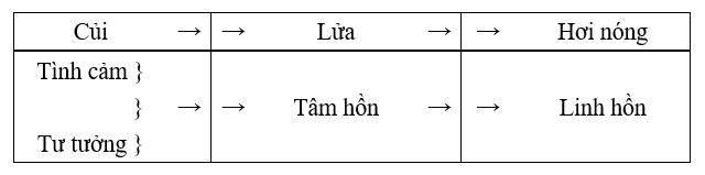 Hiện tượng sinh hóa tinh cảm, tư tưởng, tâm hồn và linh hồn như củi, lửa và hơi nóng