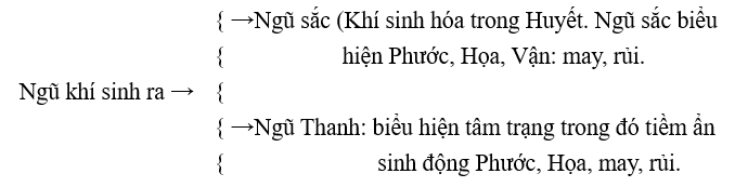 Ngũ khí sinh ra Ngũ sắc, Ngũ thanh