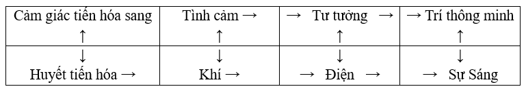 Sự tiến hóa của cảm giác và Huyết trong con người