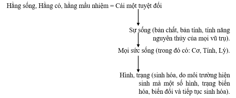 Sự sinh hóa xuất nguồn từ cái Một tuyệt đối mầu nhiệm