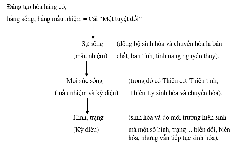 Đấng tạo hóa Hằng có, Hằng sống và Hằng mầu nhiệm trong sự tuyệt đối