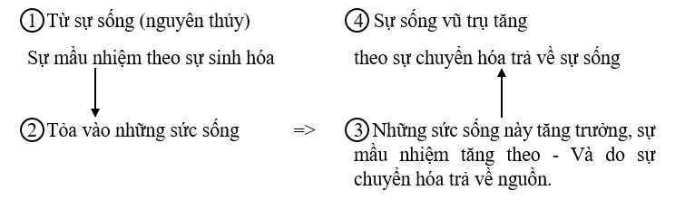 Từ sự sống nguyên thủy theo sự sinh hóa, chuyển hóa trả về sự sống vũ trụ