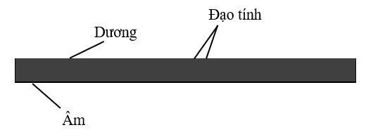 Dương, Âm và Đạo tính