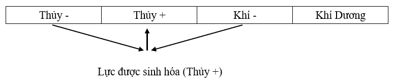 Phối hợp Khí Âm với Thủy Âm sinh ra Thủy Dương