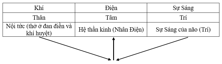 Sự sáng của não hòa hợp với Khí sinh hóa ra Nhân Điện