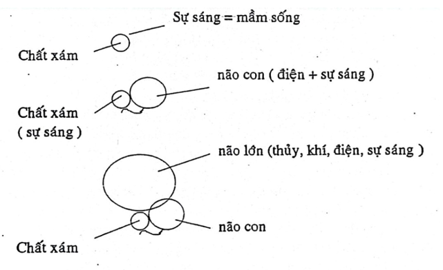 Sự sinh hóa của 4 thể linh thiêng và sự cấu tạo con người