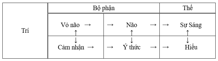 Trí liên quan đến những bộ phận, chức năng vô hình và năng lượng liên quan
