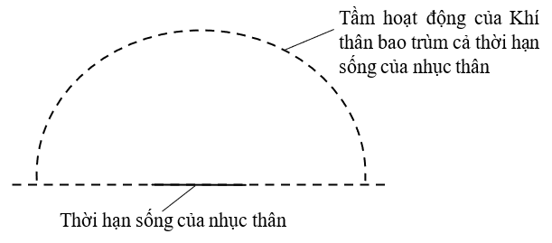 Tầm hoạt động của khí thân và nhục thân