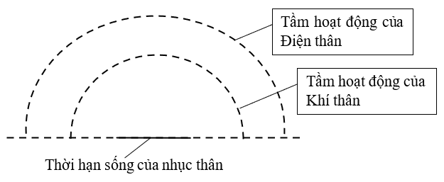 Tầm hoạt động của nhục thân so với khí thân