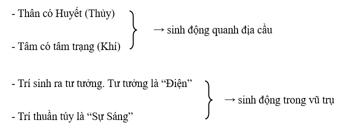 Sự tiến hóa trong con người