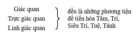 Phương tiện để con người tiến hóa