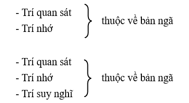 Trí quan sát, Trí nhớ và Trí suy nghĩ thuộc về bản ngã