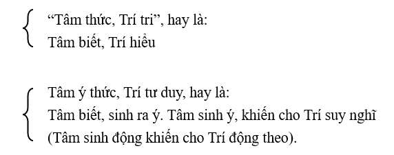 Tâm biết, Trí hiểu; Tâm ý thức, Trí tư duy