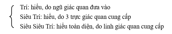 Trí hiểu do giác quan, trực giác quan, linh giác quan cung cấp