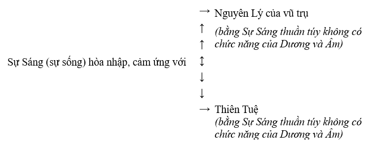 Sự Sáng hòa nhập, cảm ứng với Nguyên lý của vũ trụ, Thiên Tuệ